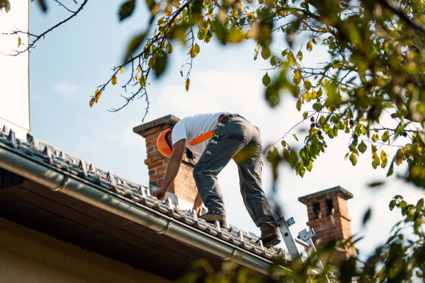 Fast & Reliable Emergency Roof Repairs in Banner Hill, TN
